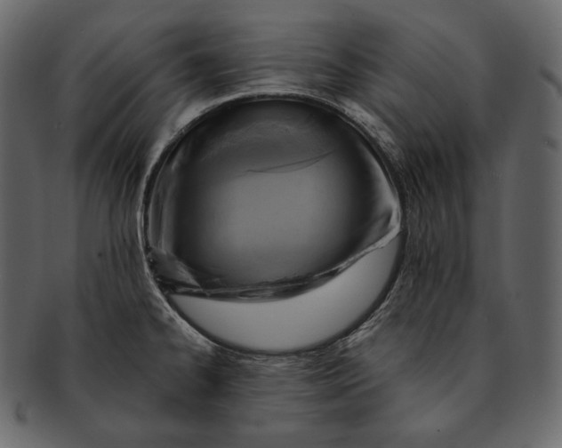 X0000092301334200710051213