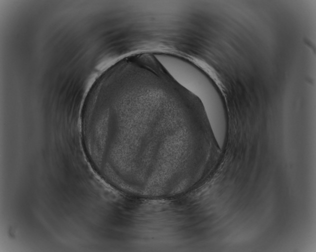 X0000092301335200710051213