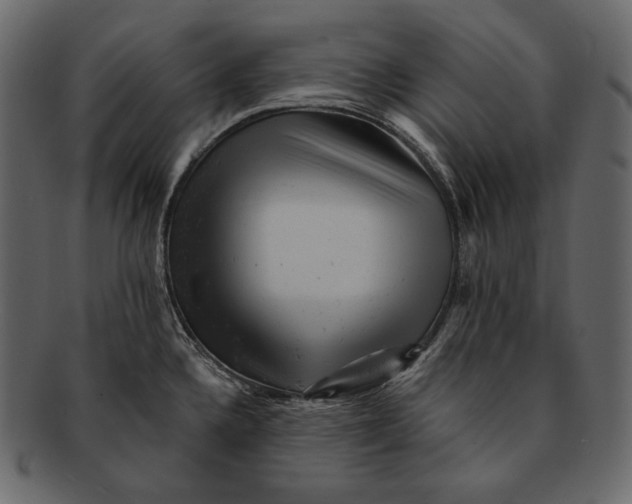 X0000092301336200710051213