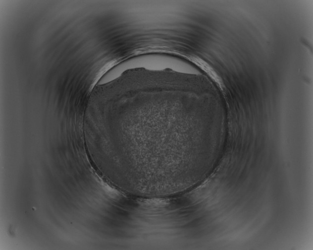 X0000092301337200710051213