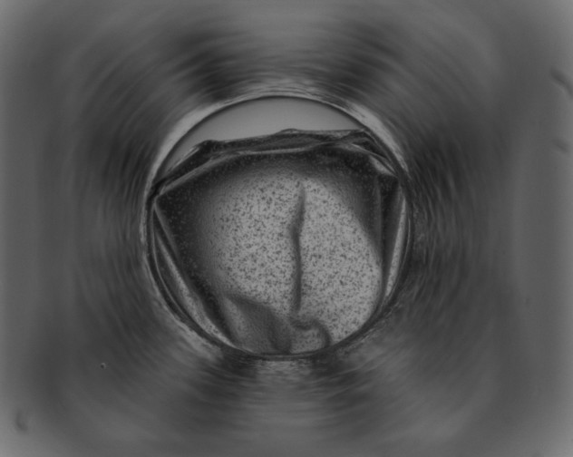 X0000092301339200710051213