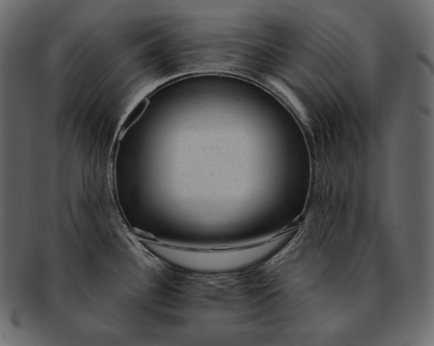 X0000092301340200710051213