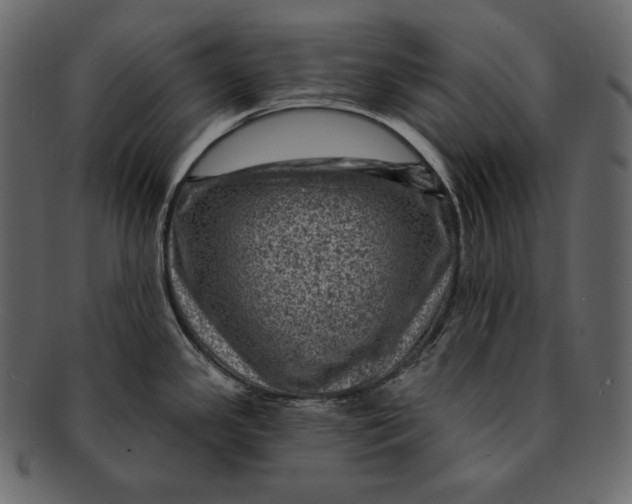 X0000092301341200710051213