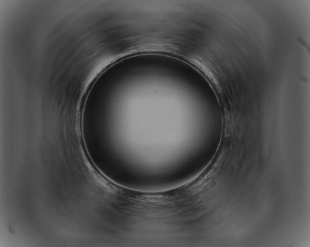 X0000092301342200710051213