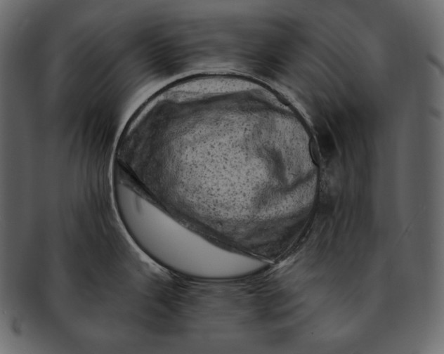 X0000092301343200710051213