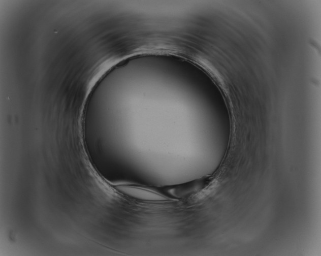 X0000092301344200710051213