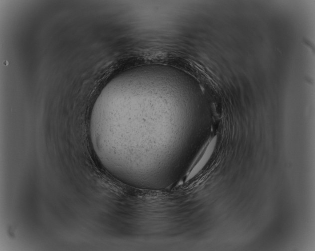 X0000092301345200710051213