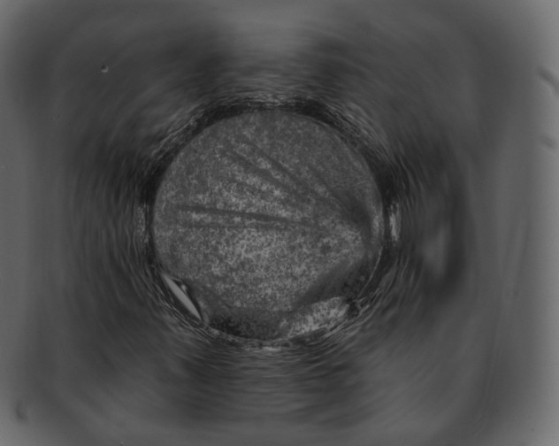 X0000092301347200710051213