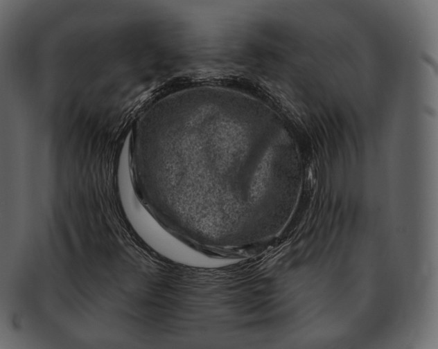 X0000092301348200710051213