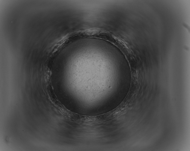 X0000092301349200710051213