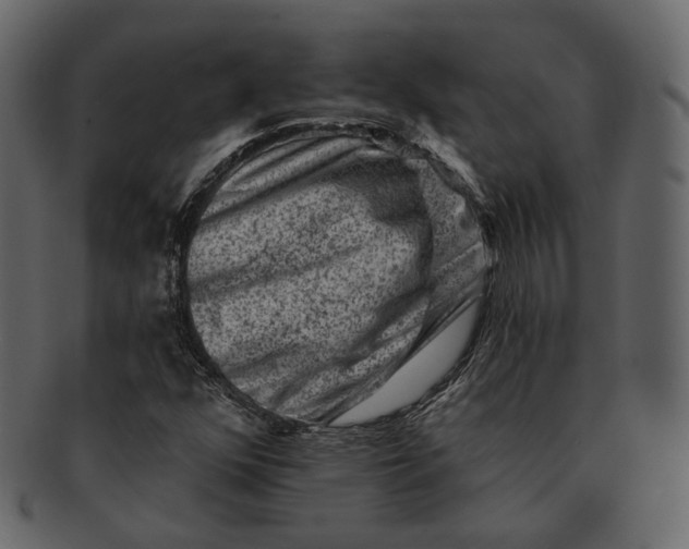 X0000092301352200710051213