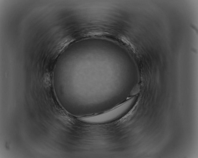 X0000092301353200710051213