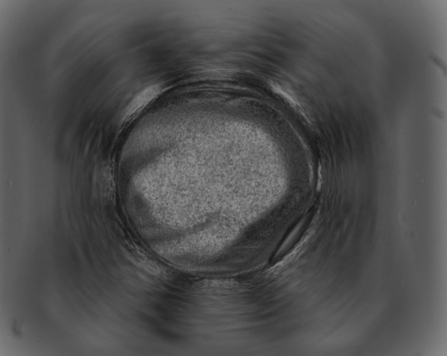 X0000092301354200710051213