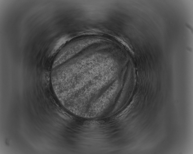 X0000092301355200710051213