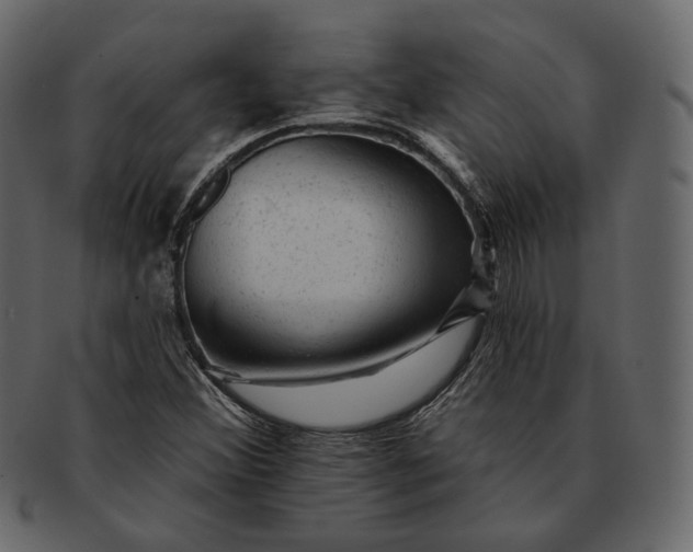 X0000092301356200710051213