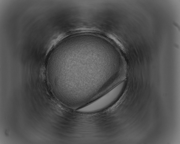 X0000092301357200710051213