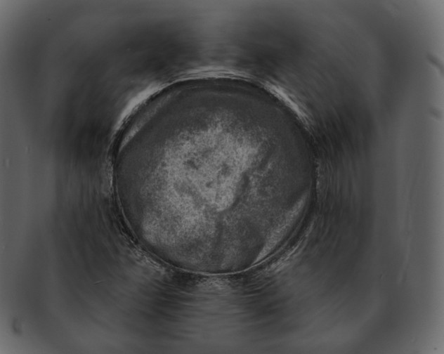 X0000092301358200710051213