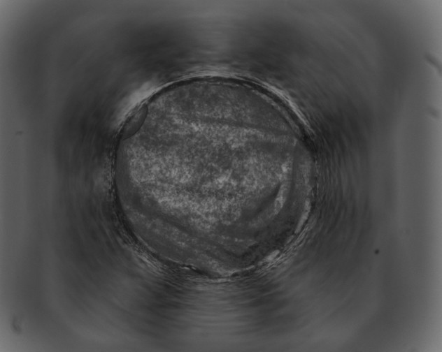 X0000092301359200710051213