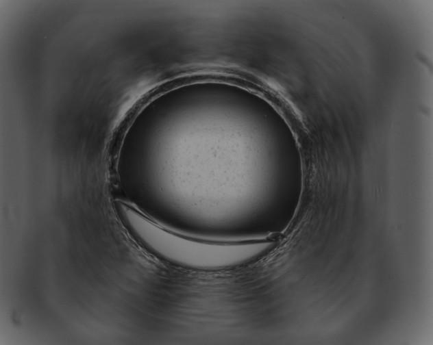 X0000092301360200710051212