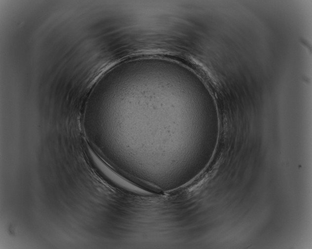 X0000092301361200710051212