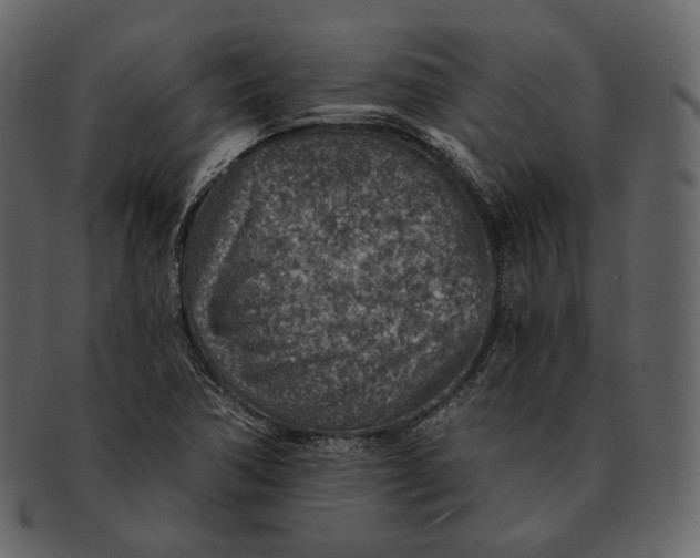 X0000092301362200710051212