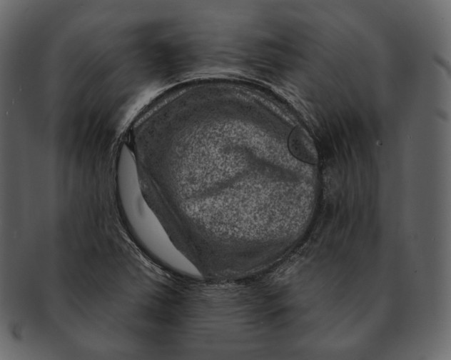 X0000092301363200710051212