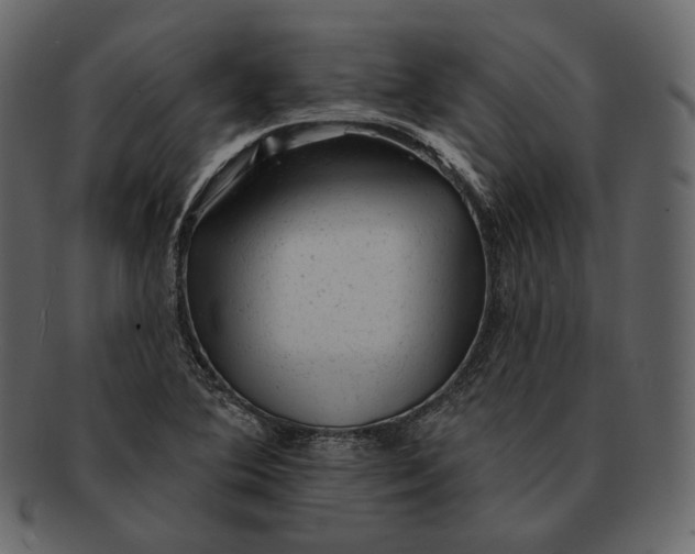 X0000092301364200710051212