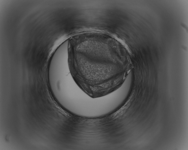 X0000092301365200710051212