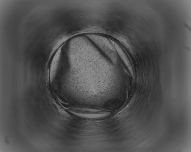 X0000092301366200710051212