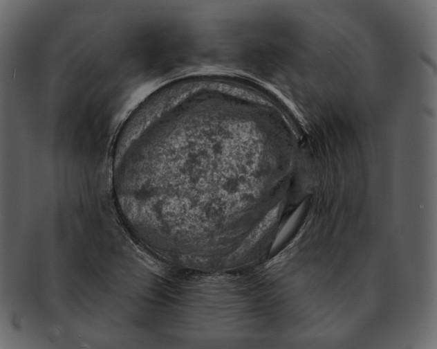 X0000092301367200710051212