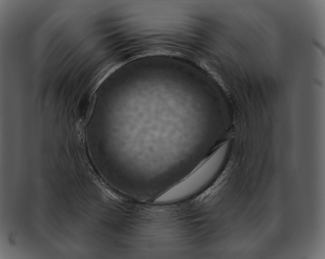 X0000092301369200710051212