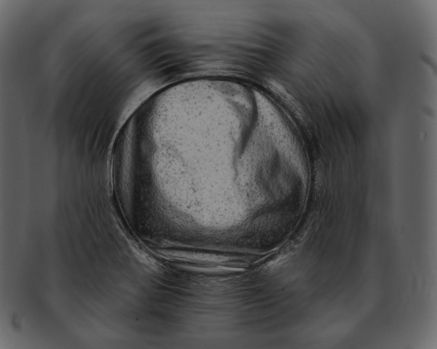 X0000092301370200710051212