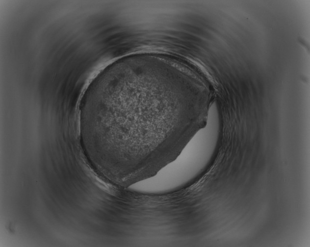 X0000092301371200710051212