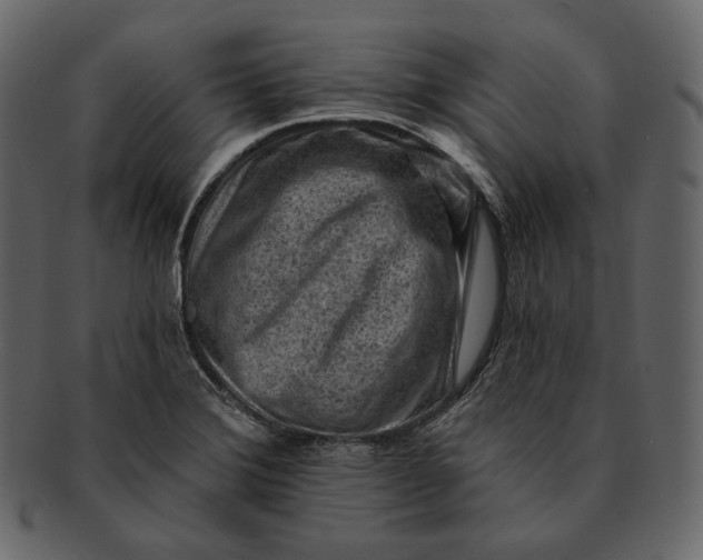 X0000092301372200710051212