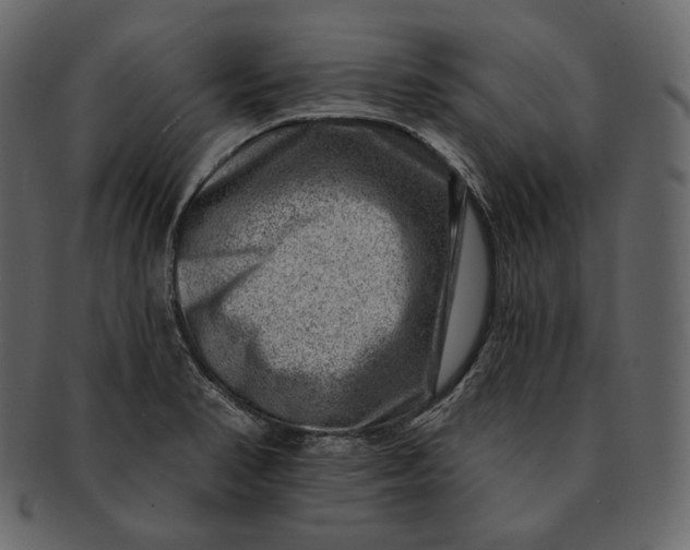 X0000092301374200710051212