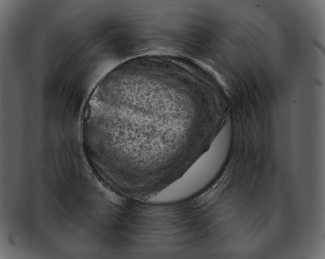 X0000092301375200710051212