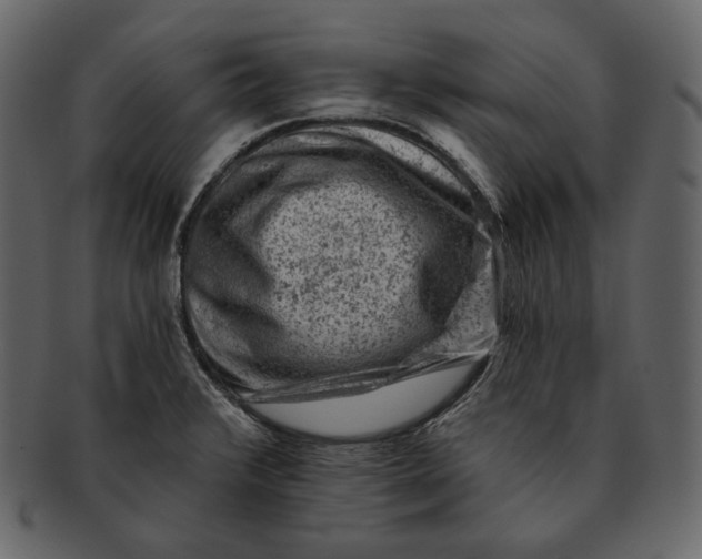 X0000092301376200710051212