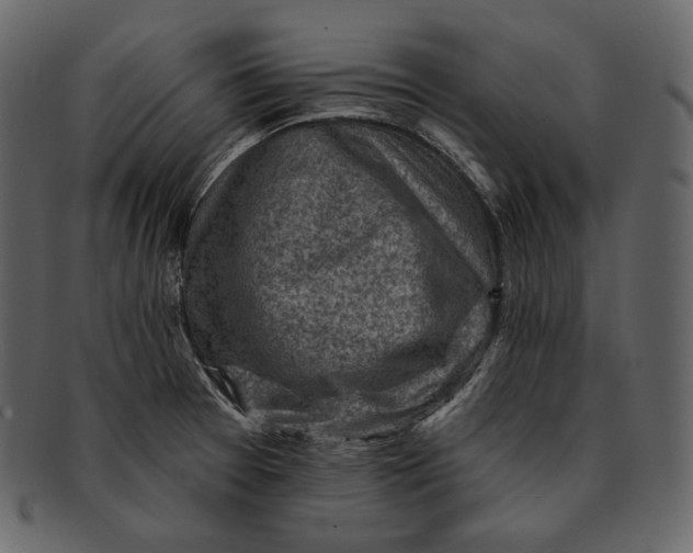 X0000092301377200710051212