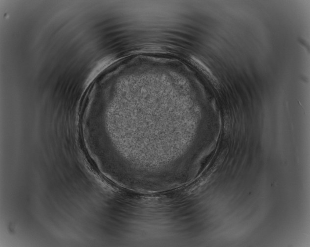 X0000092301378200710051212