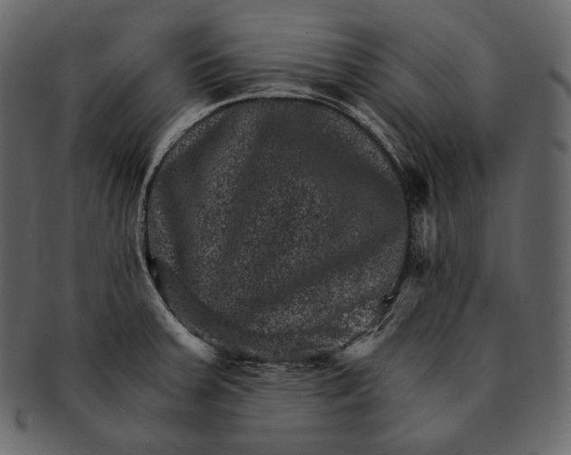 X0000092301379200710051212