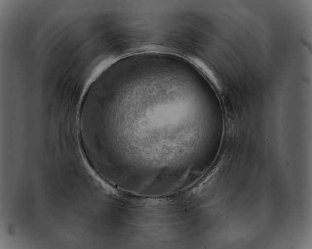 X0000092301381200710051212