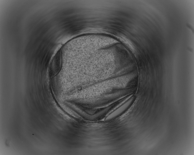 X0000092301382200710051212