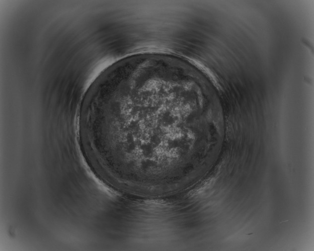 X0000092301383200710051212