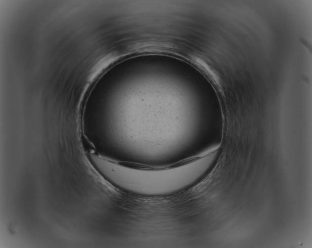 X0000092301384200710051212