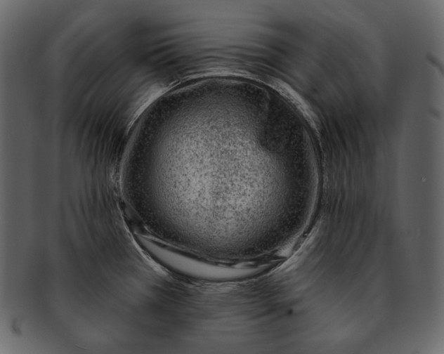 X0000092301385200710051212