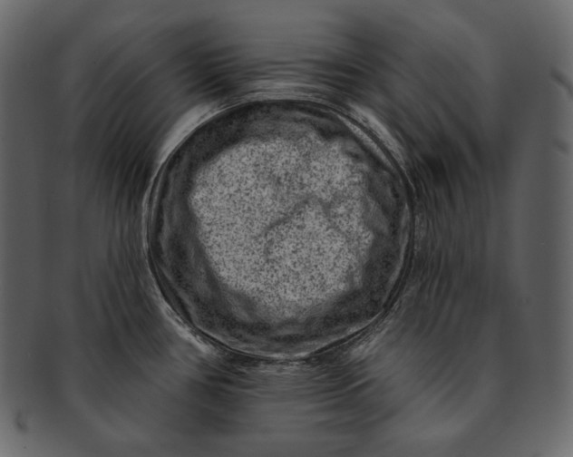 X0000092301386200710051212