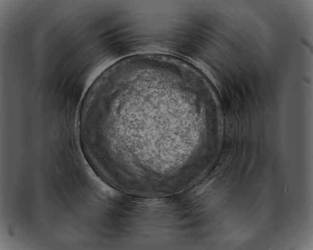 X0000092301387200710051212