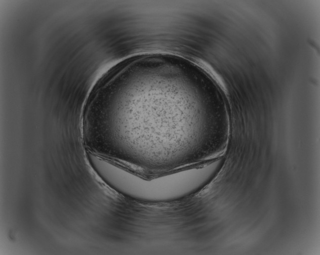 X0000092301388200710051212