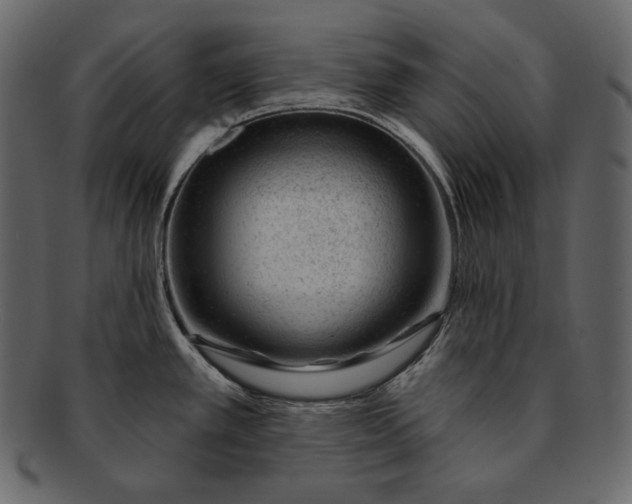 X0000092301389200710051212