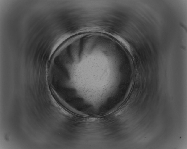 X0000092301390200710051212